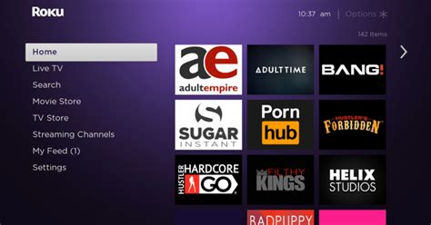 porn roku|Private Channels Are Gone but You Can Still Watch Porn on。